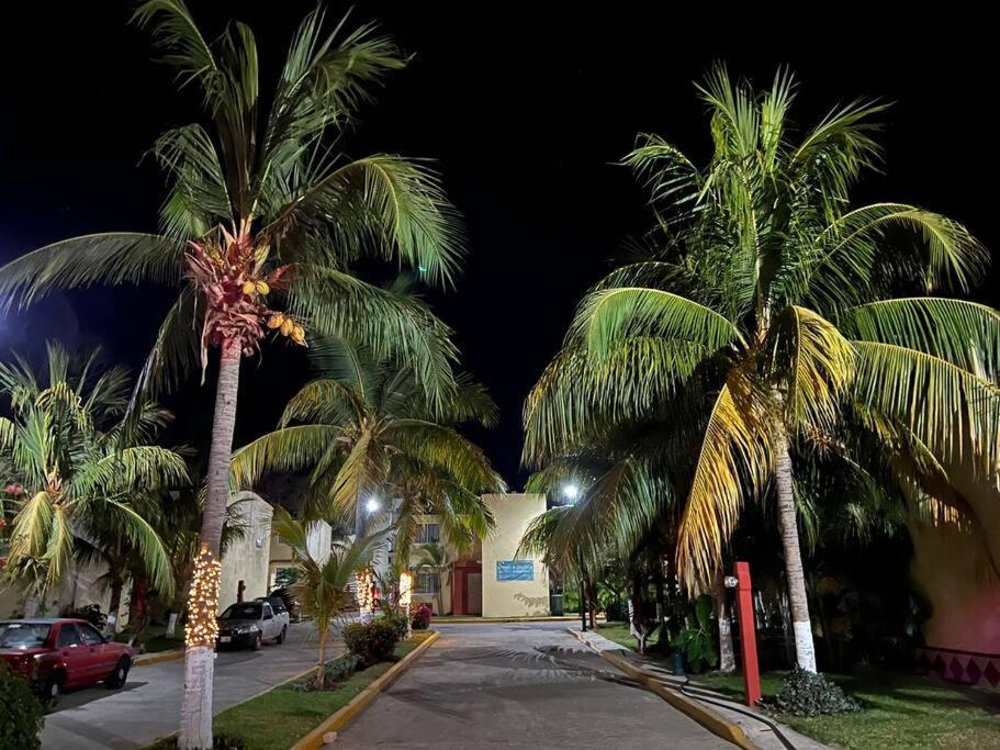 New Sol, Mar Y Arena Ixtapa.